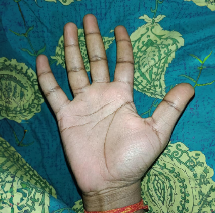 Hand Segment