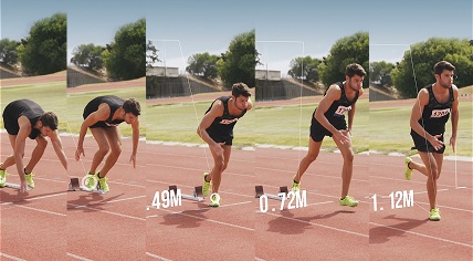 Polyline Segmentation